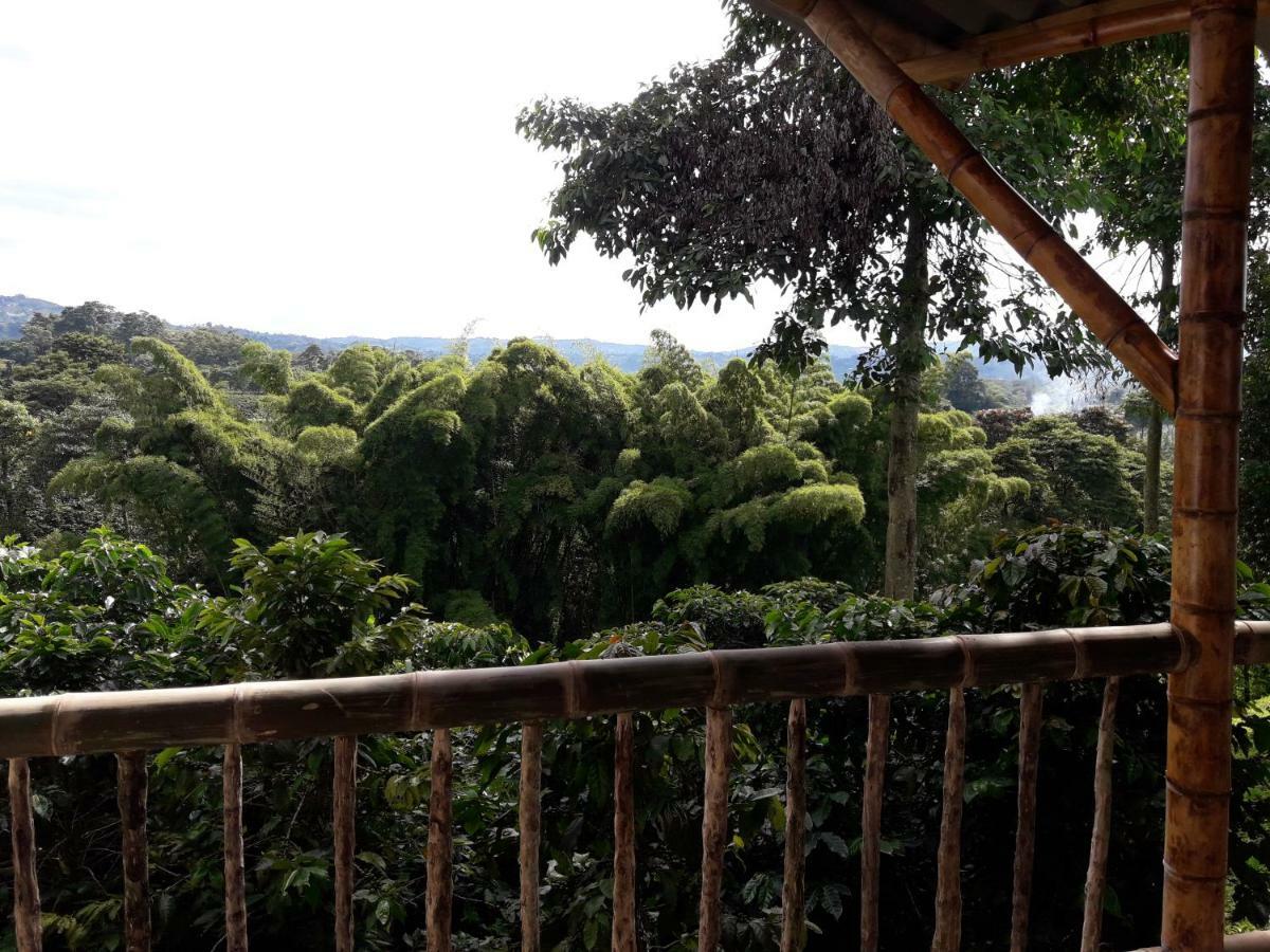 Hacienda Cafetera La Gaviota Villa Chinchiná Dış mekan fotoğraf