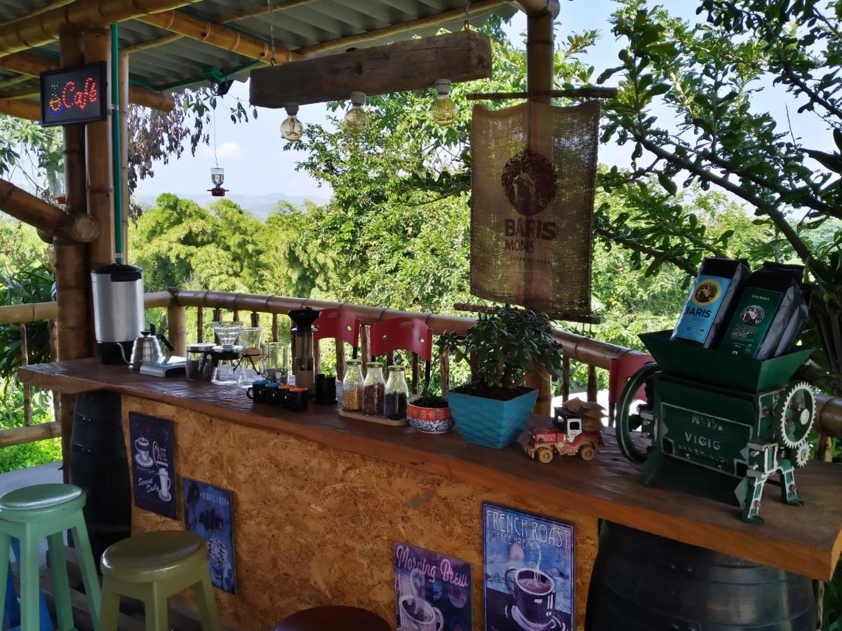 Hacienda Cafetera La Gaviota Villa Chinchiná Dış mekan fotoğraf
